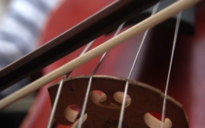 Musikprojekt 2017: Der Karneval der Tiere