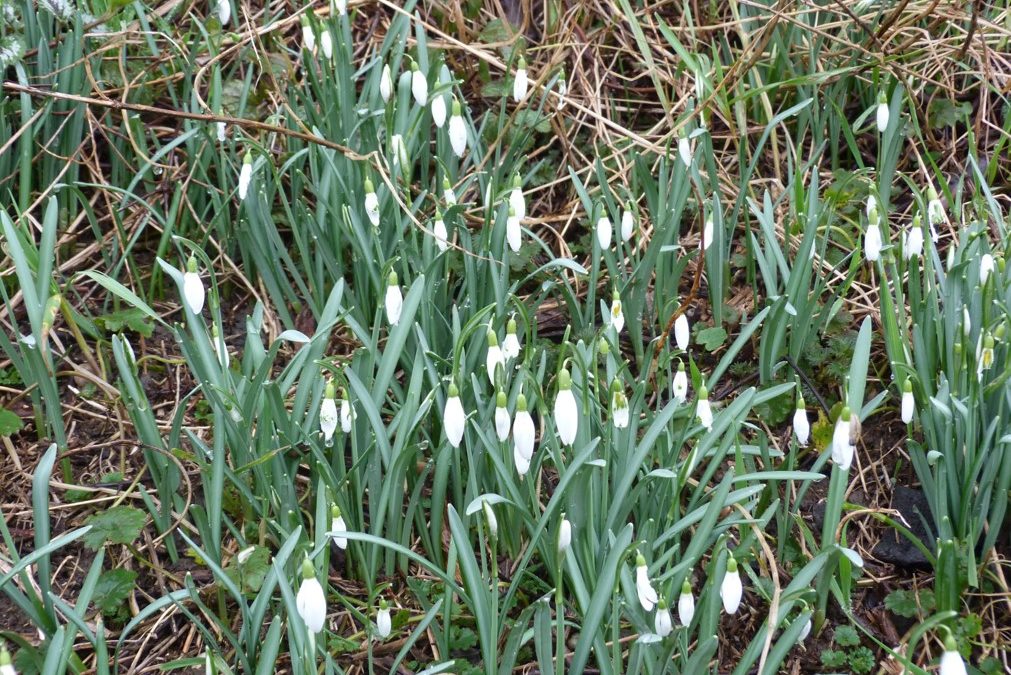 Wir haben den Frühling gesucht und gefunden!